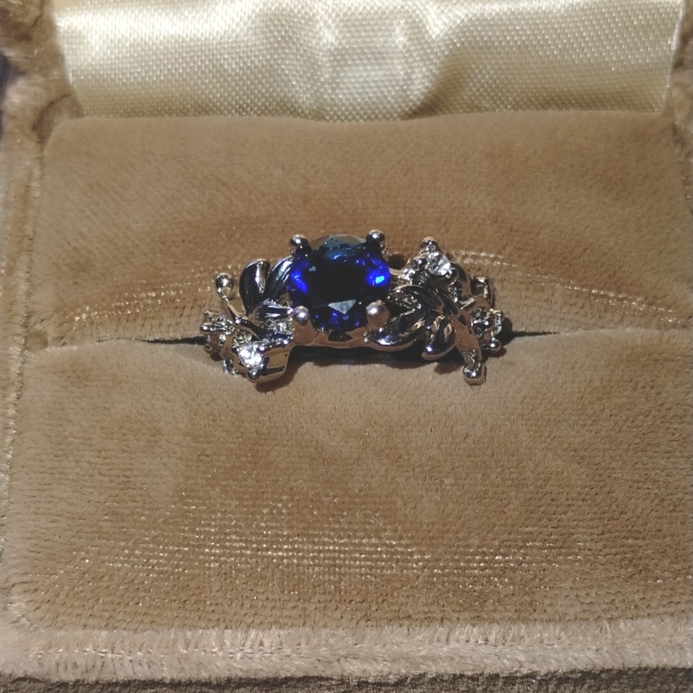 Blue and Silver Ring